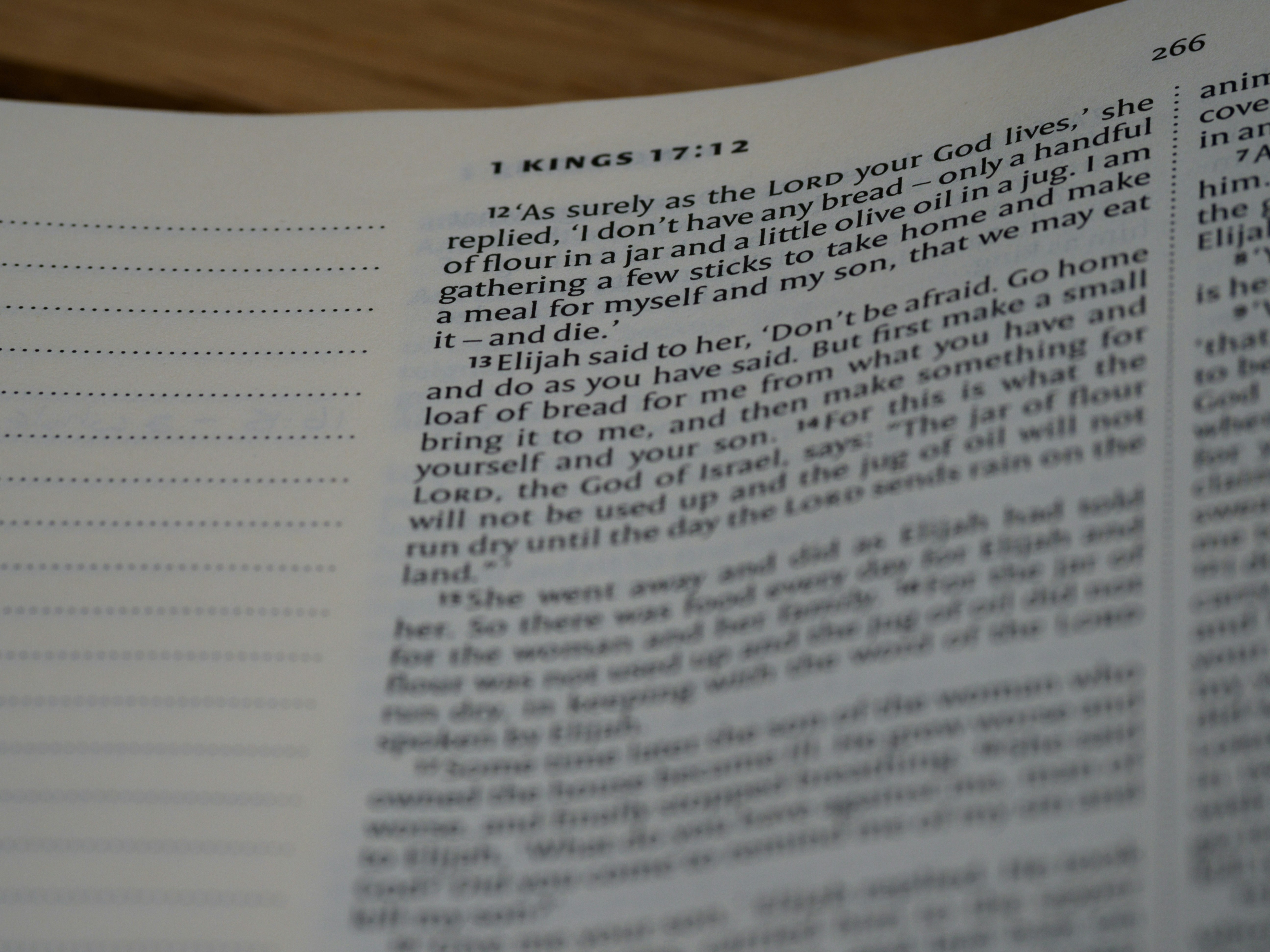 이유식 먹는 시기