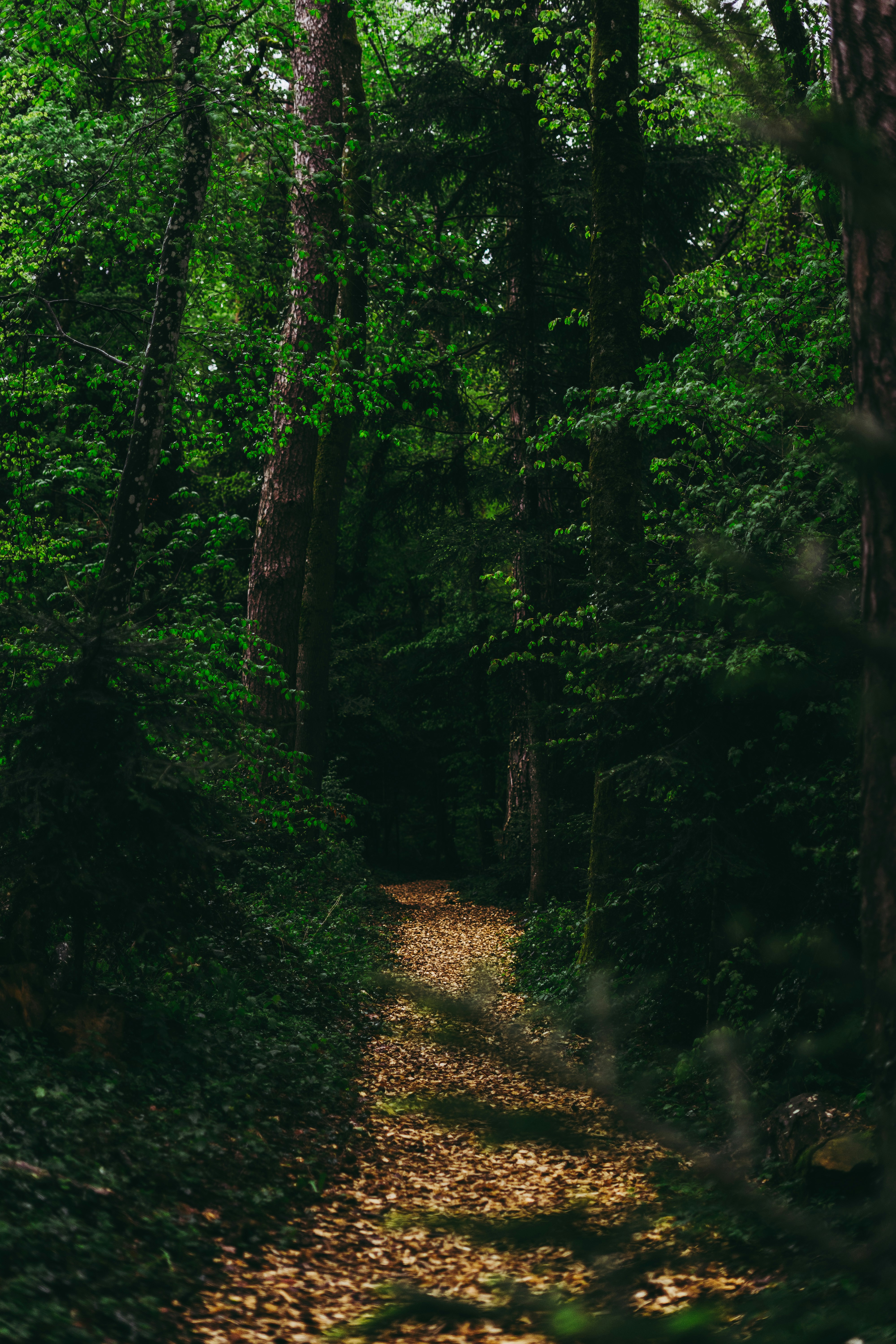 Photo by virussinside