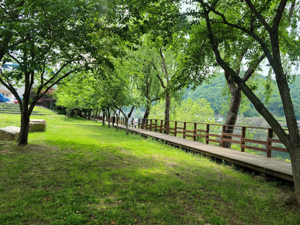 a long wooden bridge over a lush green park