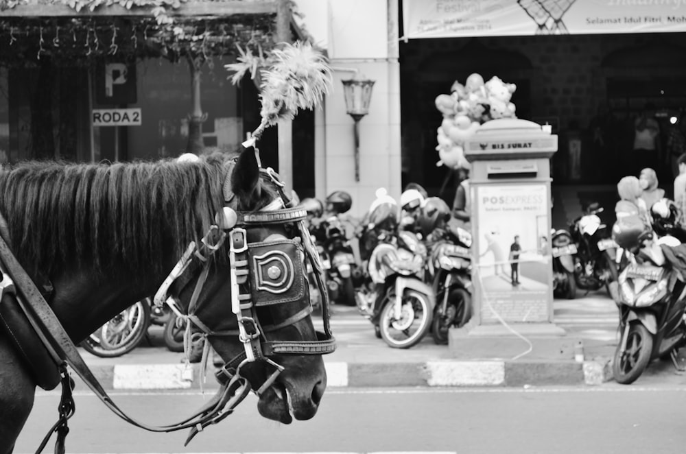 a black and white photo of a horse with a harness