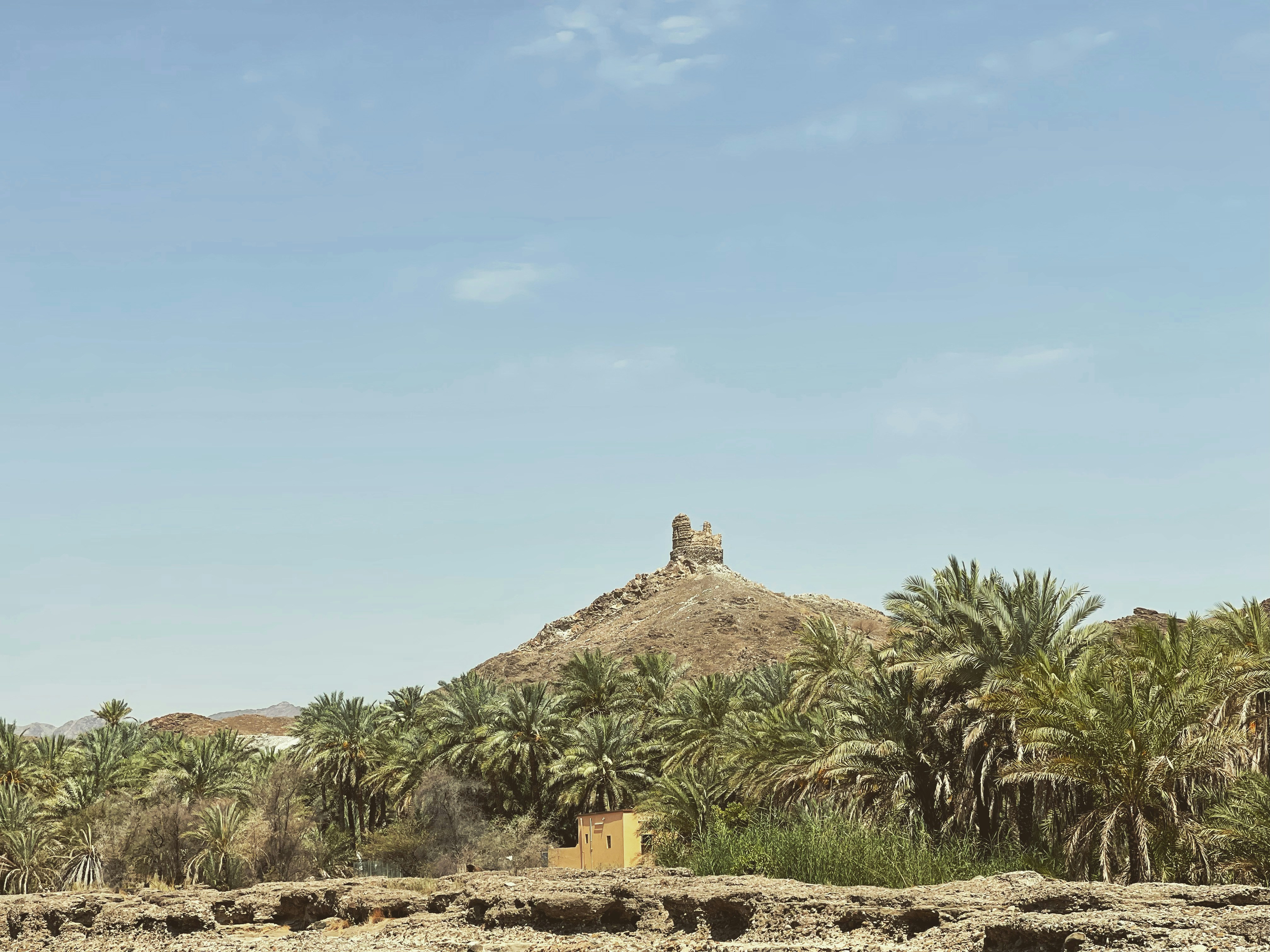 Rustaq, Oman - None