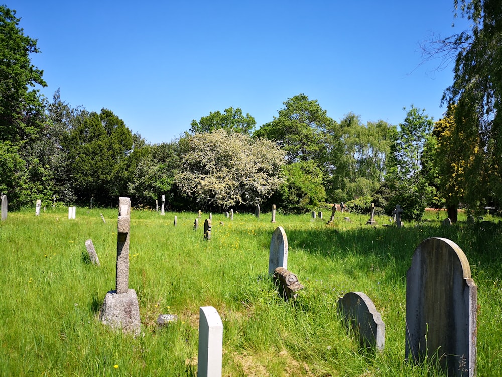 a group of headstones in a grassy field