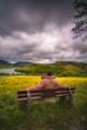 man sitting on brown wooden bench looking at green grass field during daytime