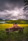 man sitting on brown wooden bench looking at green grass field during daytime