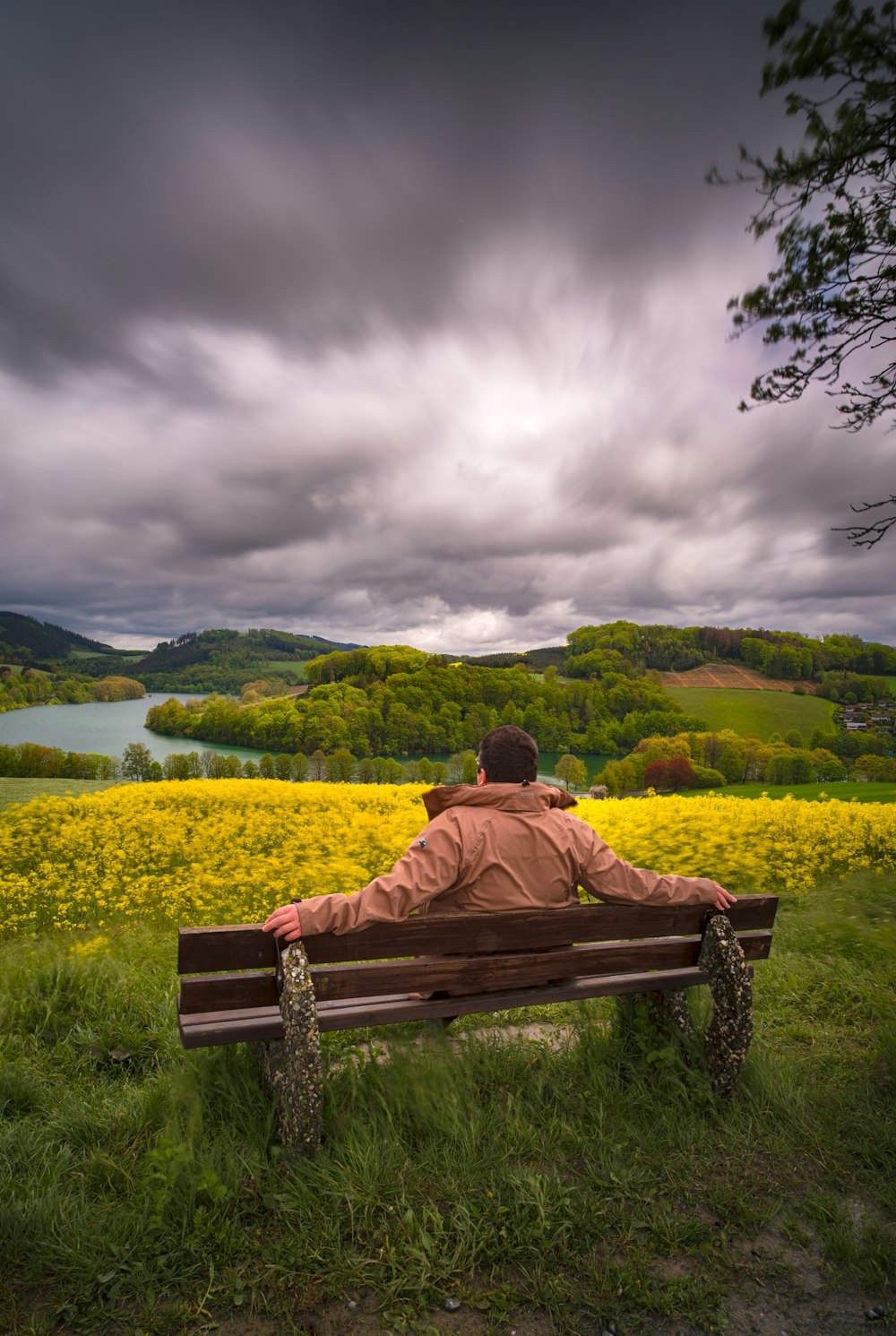 man sitting on brown wooden bench looking at green grass field during daytime