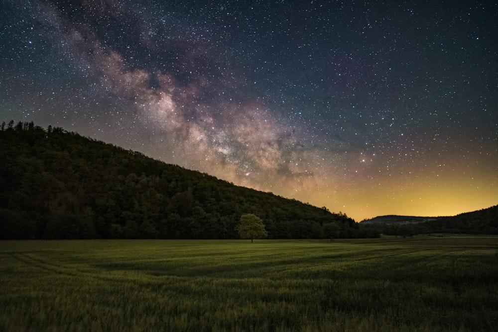 green grass field under blue sky with stars during night time