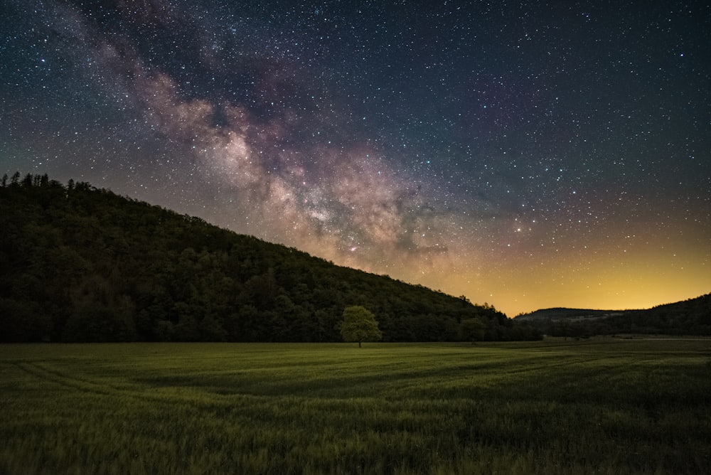 Campo de hierba verde bajo el cielo azul con estrellas durante la noche