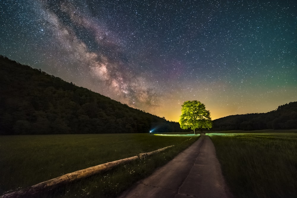 green grass field near road under starry night