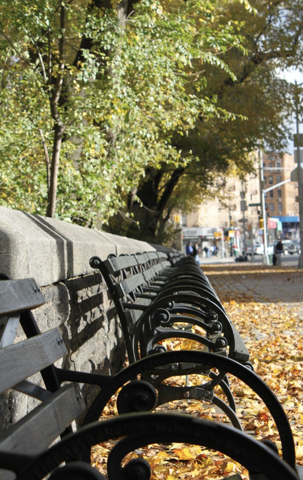 a row of park benches sitting next to each other