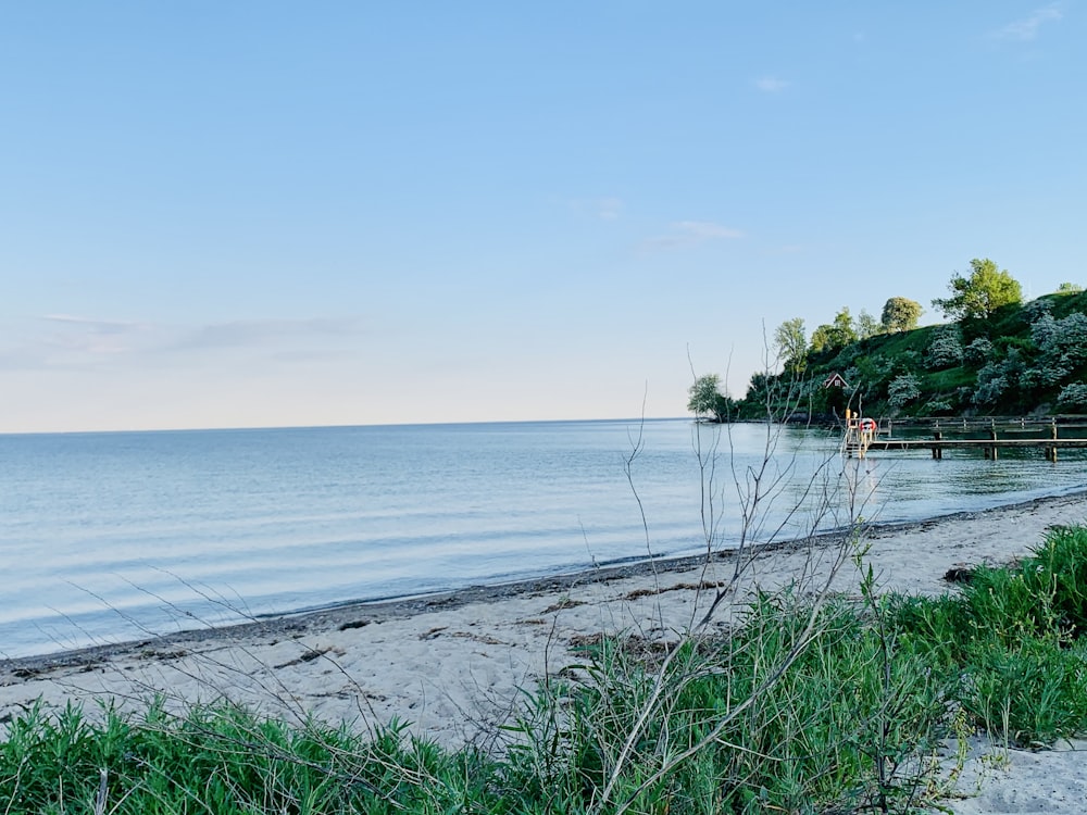 a beach with a body of water in the background