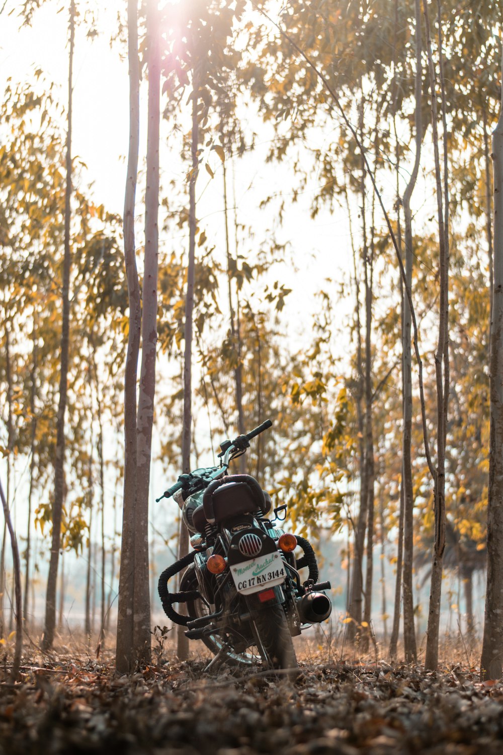 a motorcycle parked in the middle of a forest