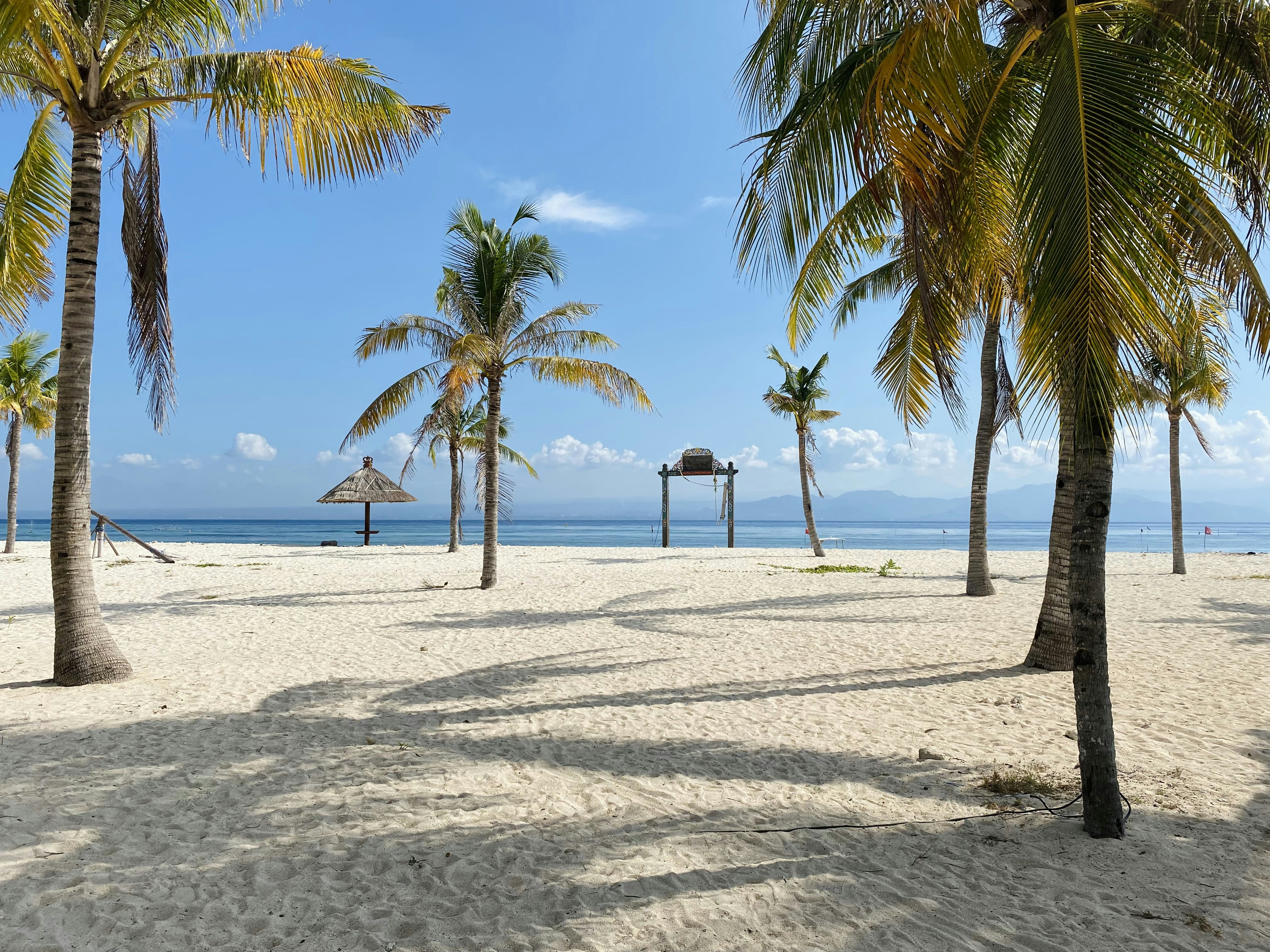 a sandy beach with palm trees and a hut in the distance