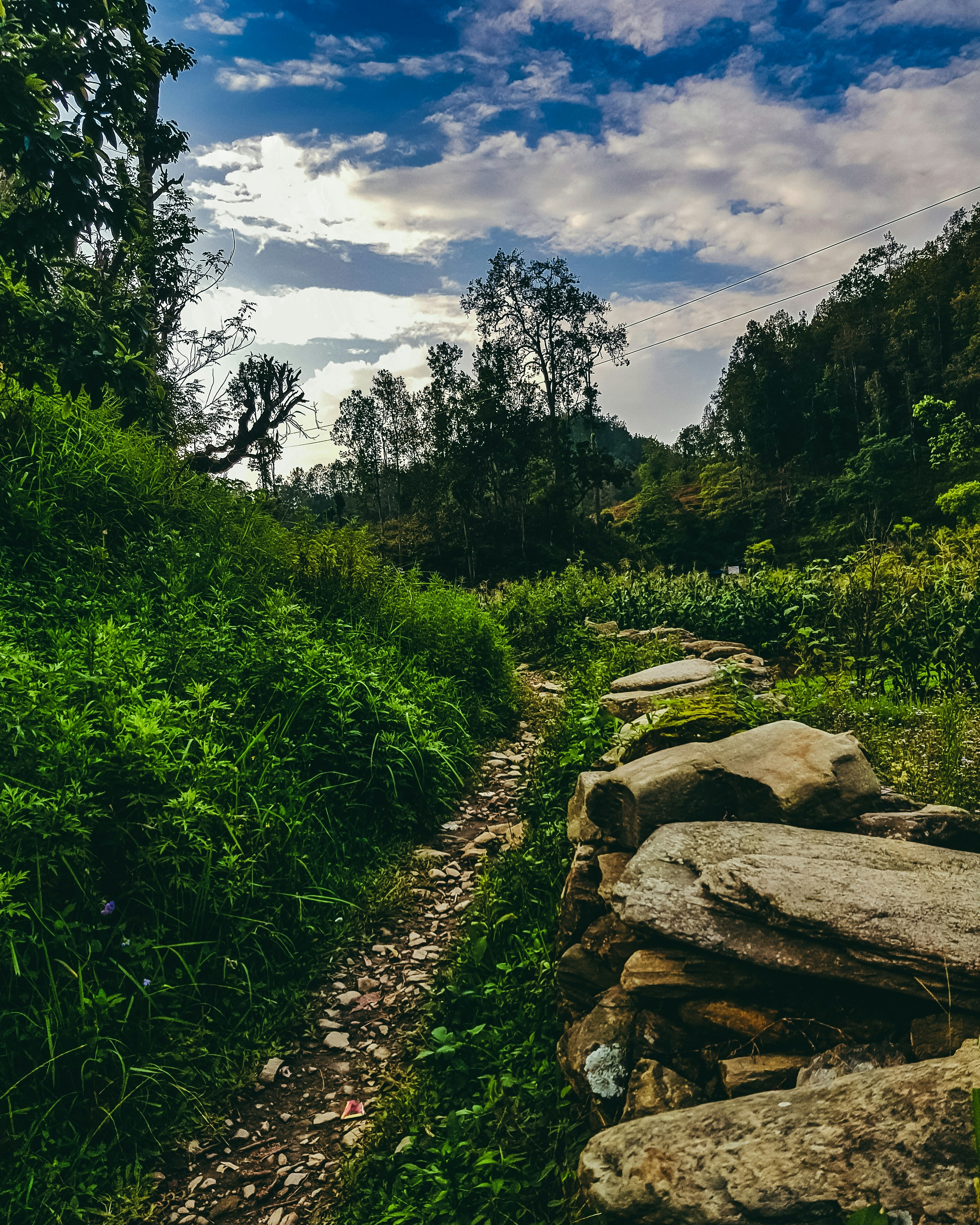 Photo by sagarfantastico