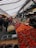 A bustling market scene with a variety of fresh fruits on display. The stall is arranged with vibrant fruits such as strawberries, oranges, and pears, neatly placed in rows. Shoppers are seen walking under a striped canopy roof. Signage with pricing is visible, adding to the lively market atmosphere.