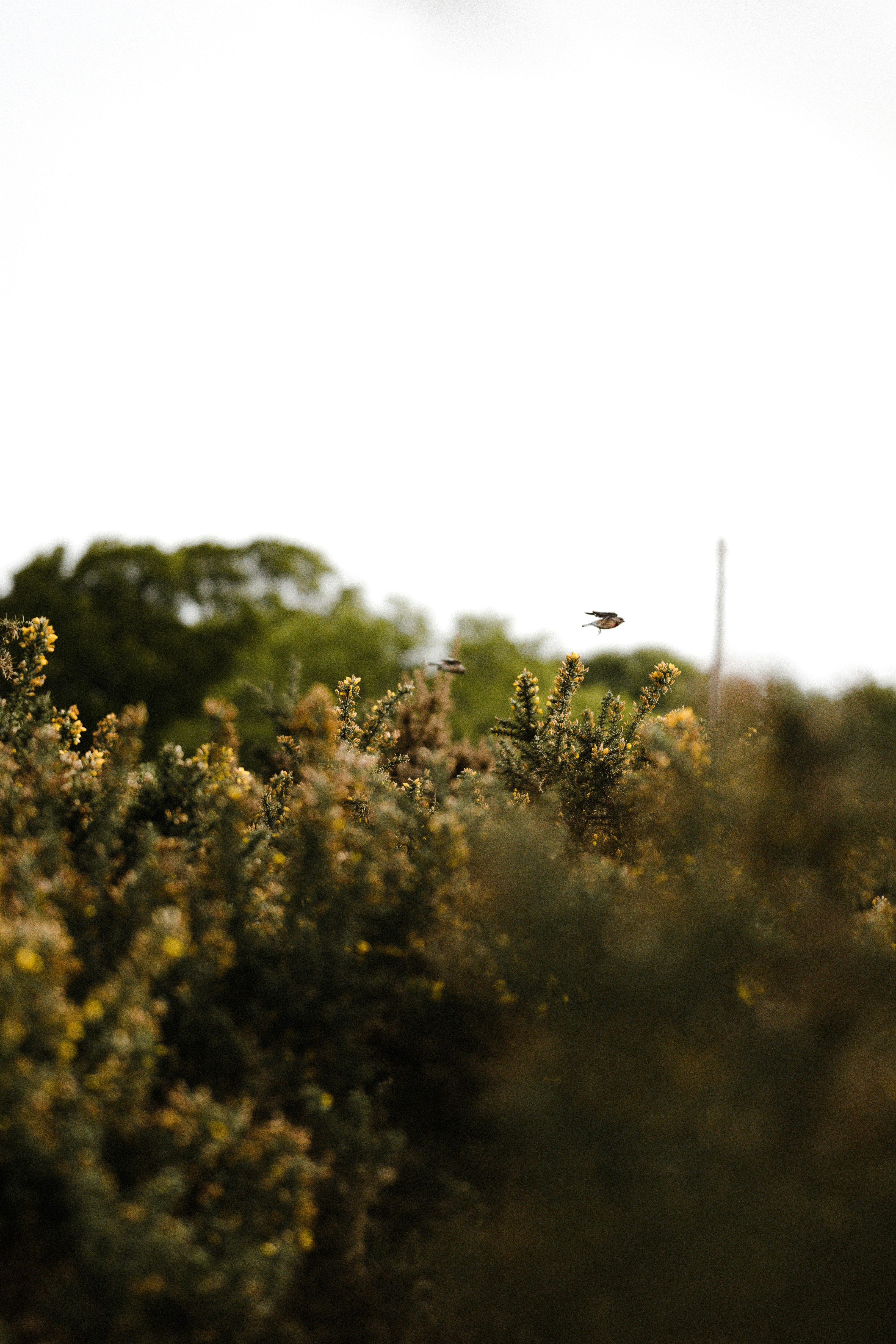 Photo by anniespratt