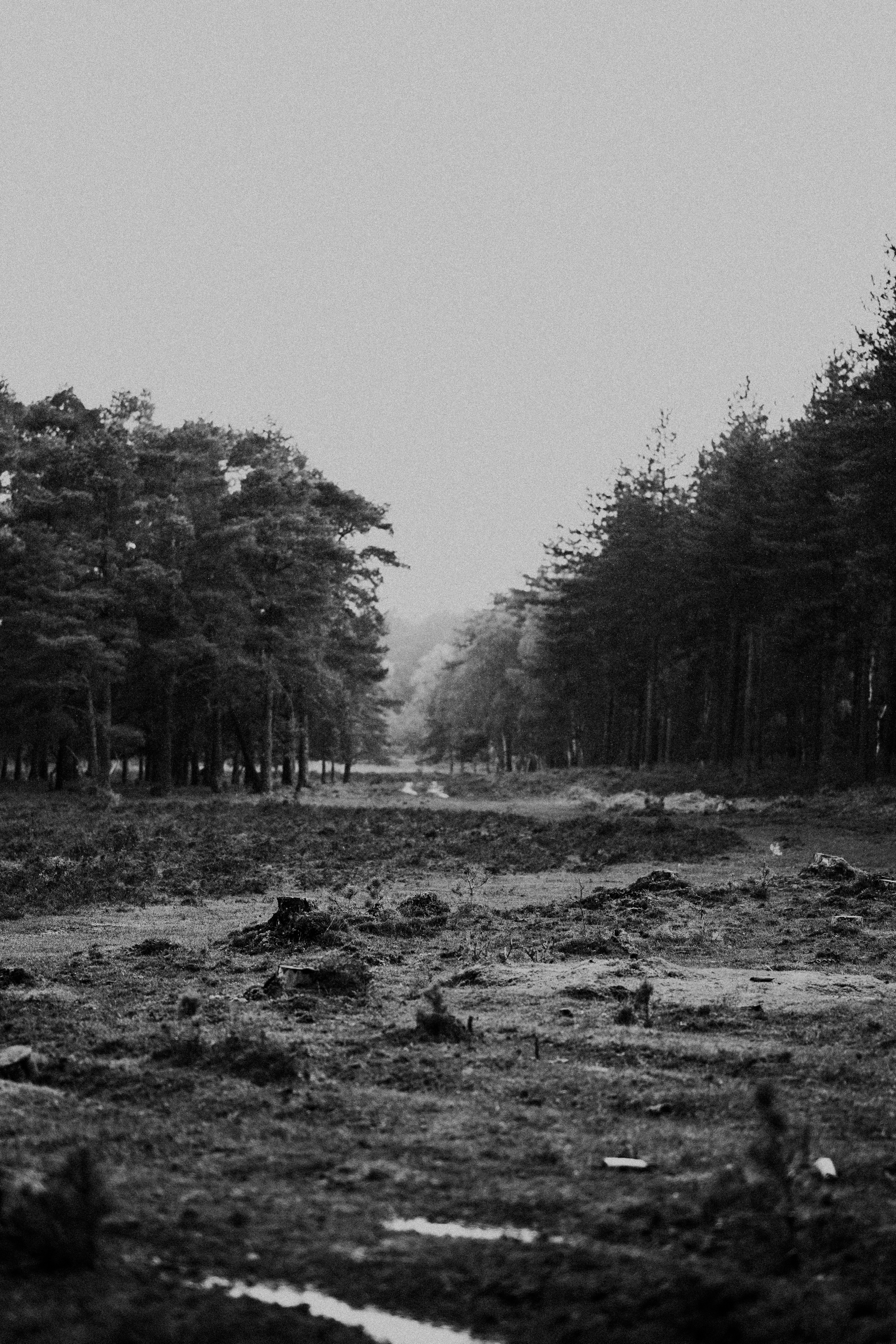 Photo by anniespratt