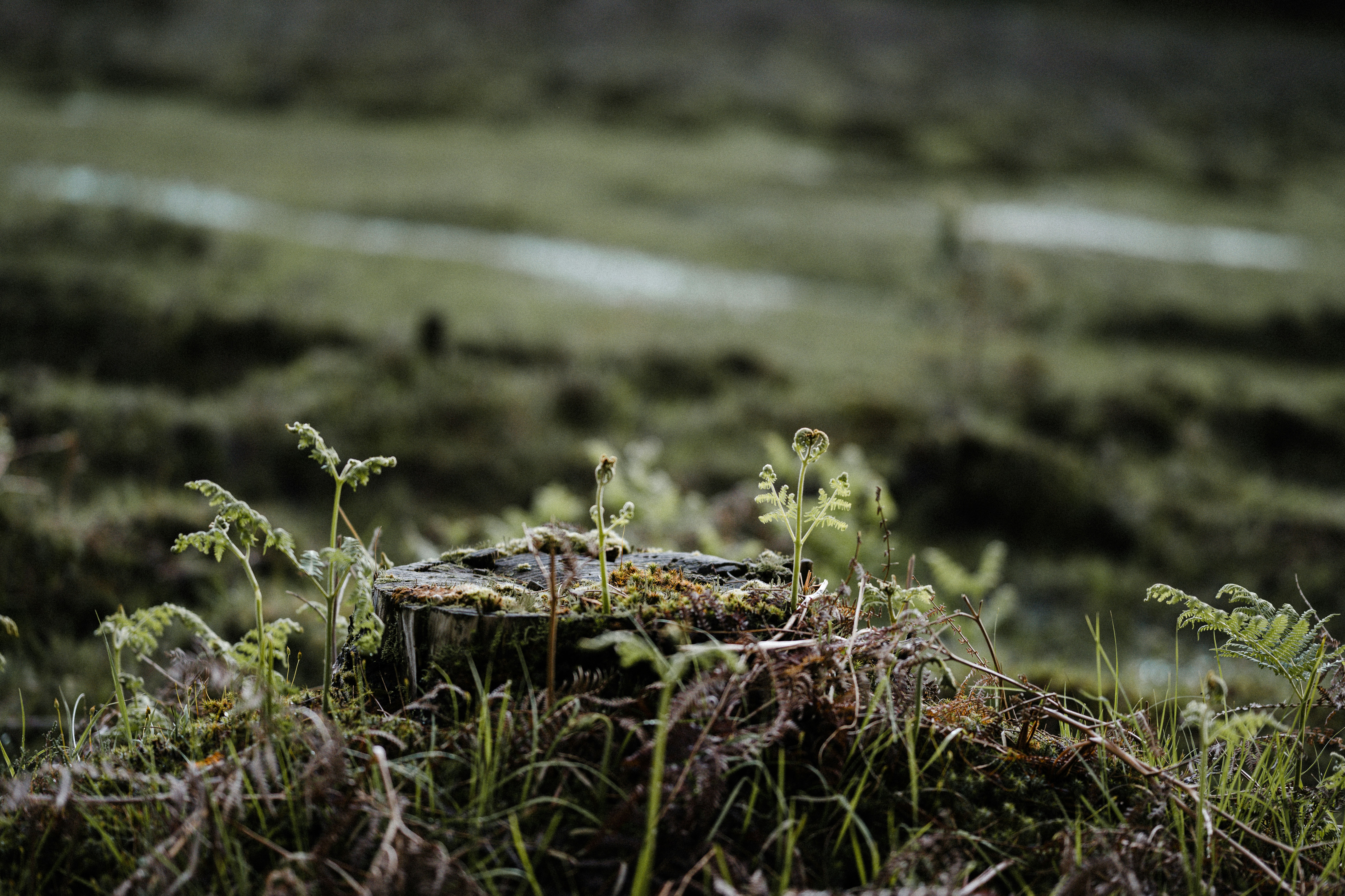 Photo by anniespratt