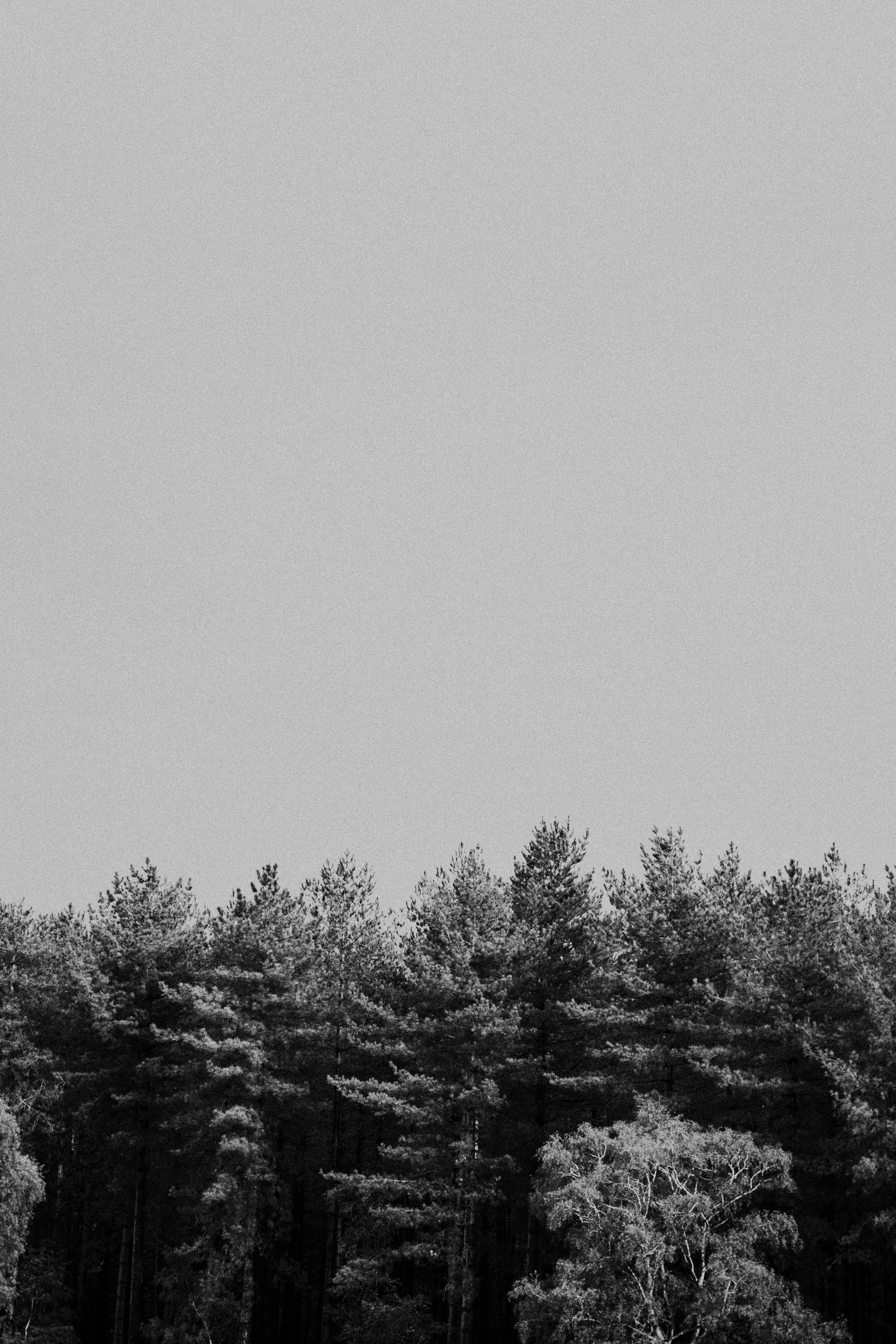 Photo by anniespratt