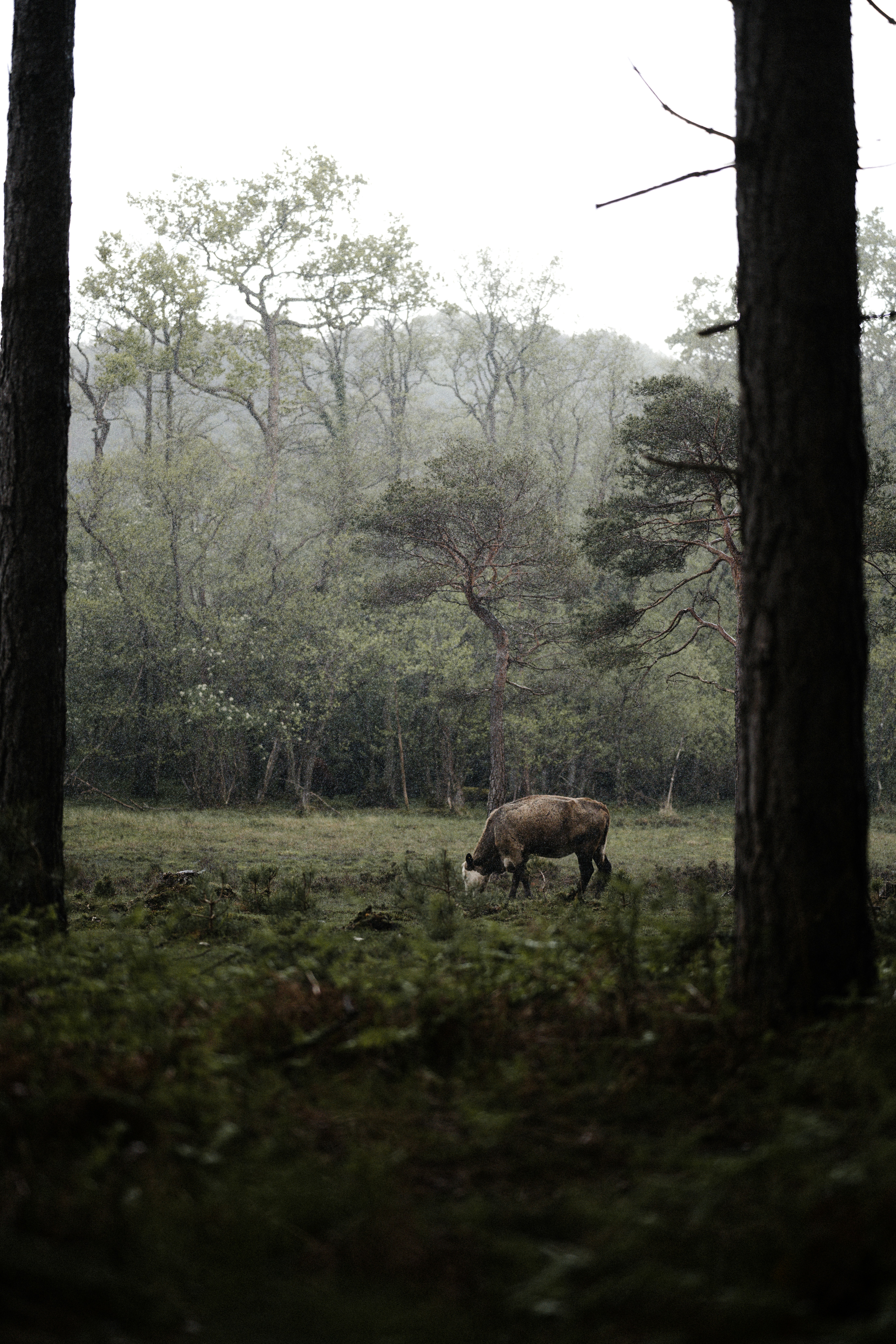 Photo by anniespratt