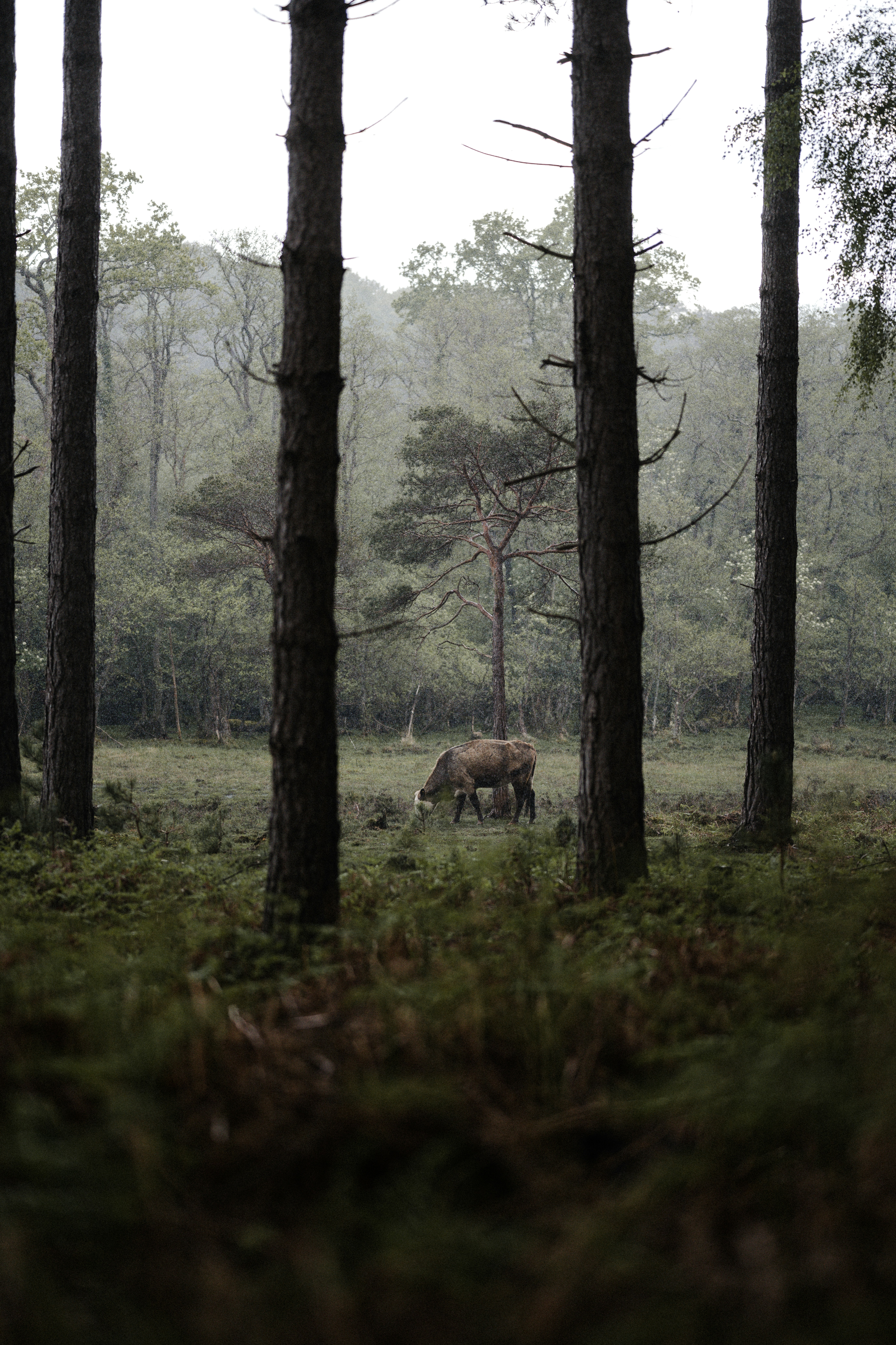 Photo by anniespratt