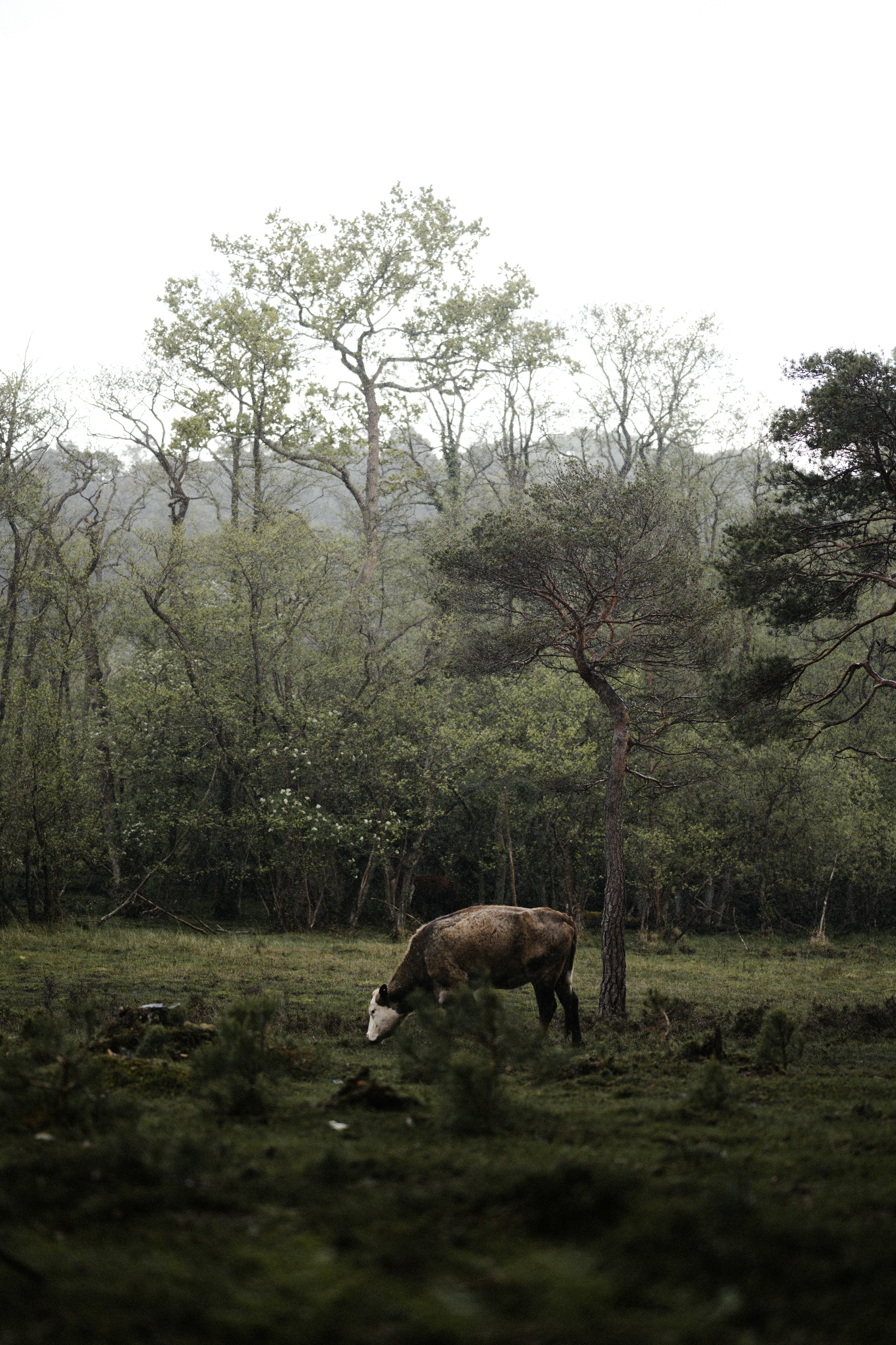 Photo by anniespratt