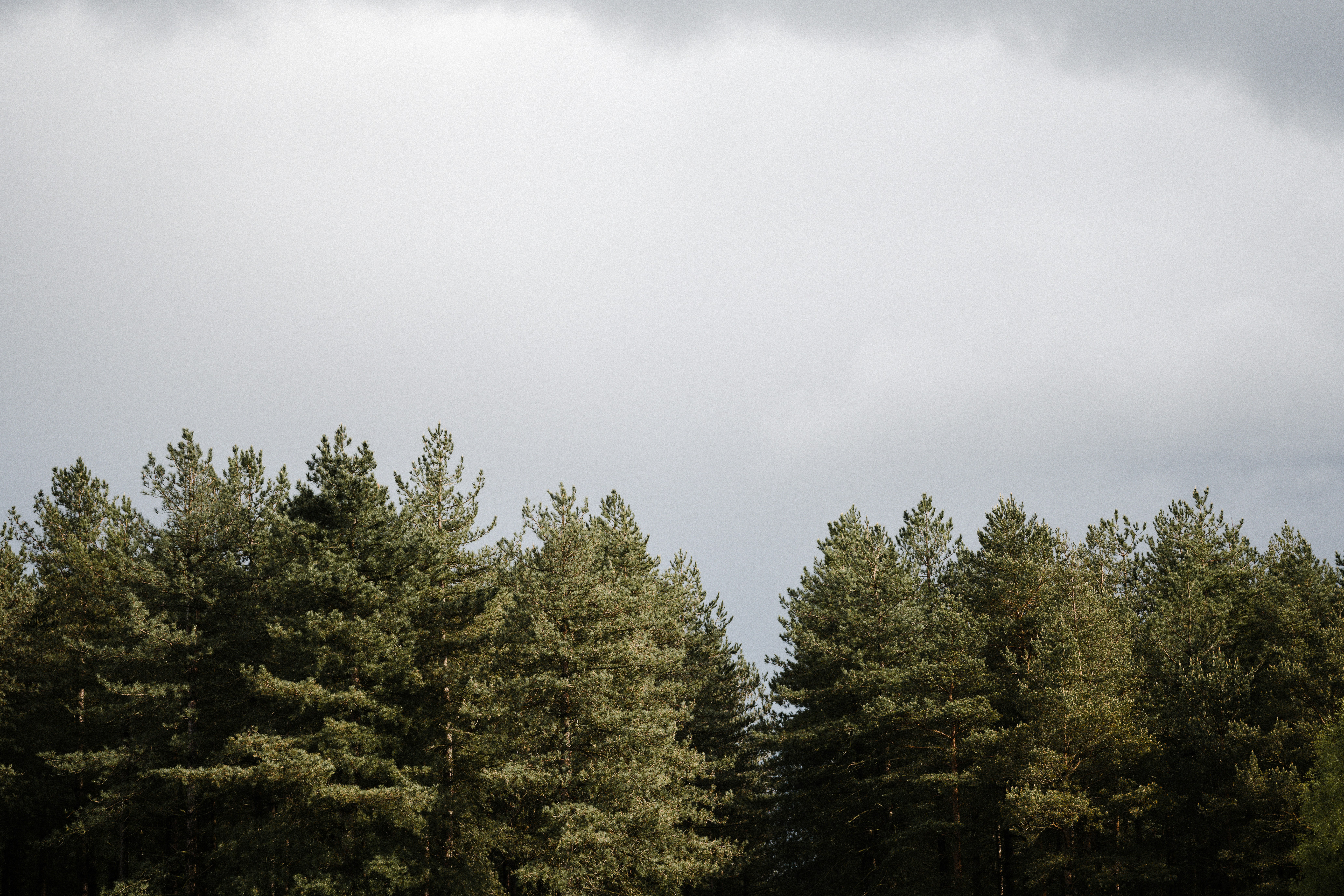 Photo by anniespratt