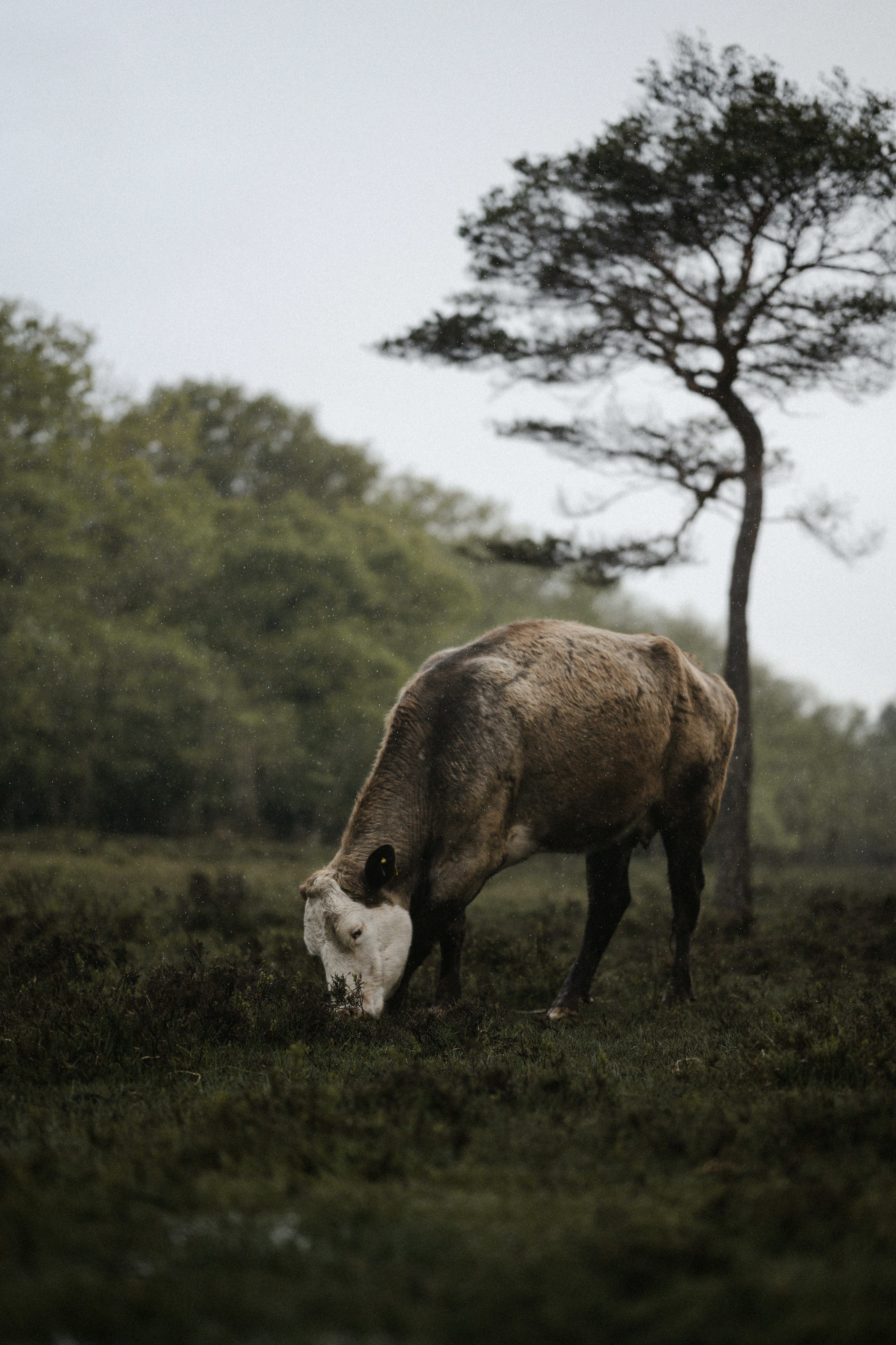 Photo by anniespratt