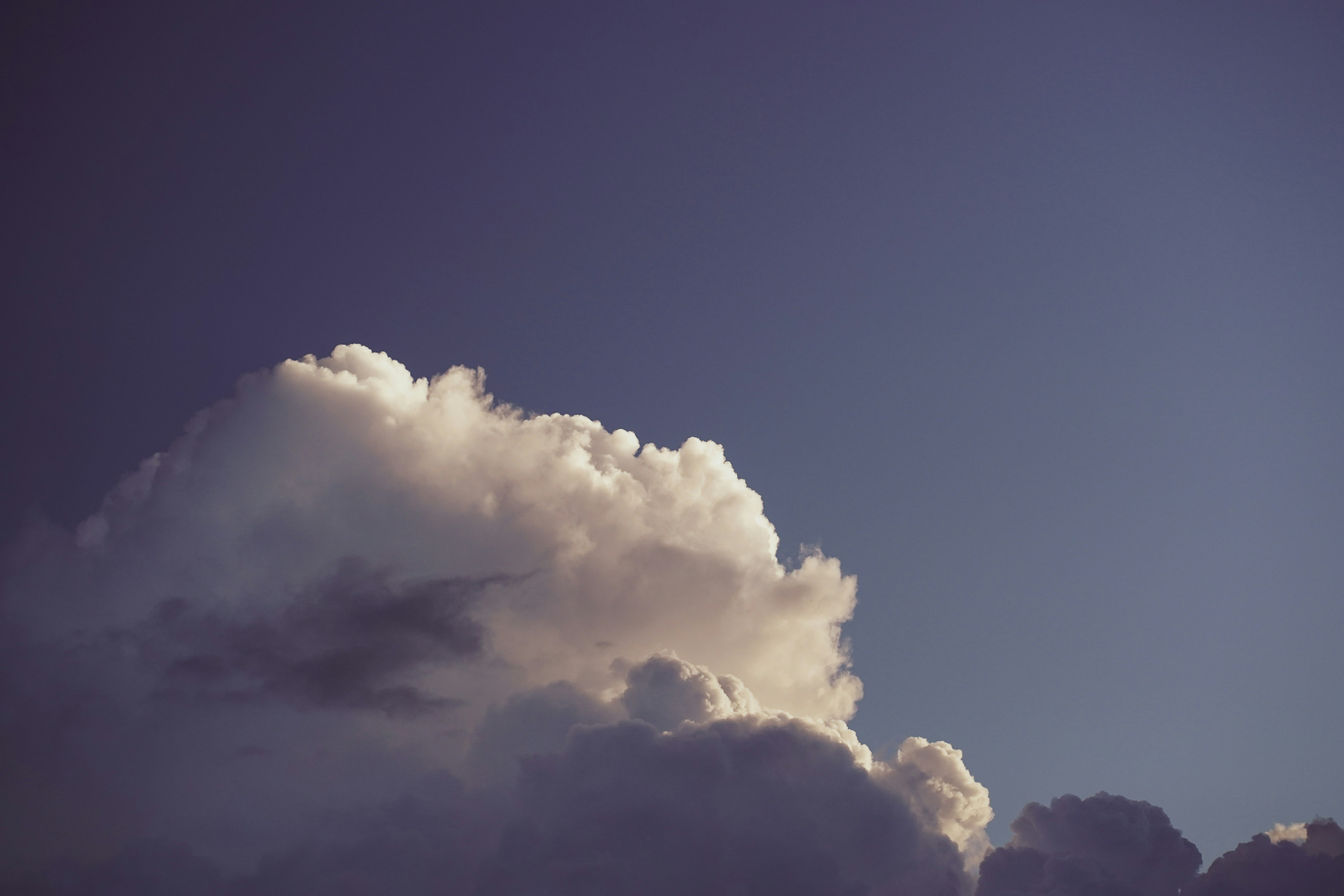 Photo by artcoastdesign