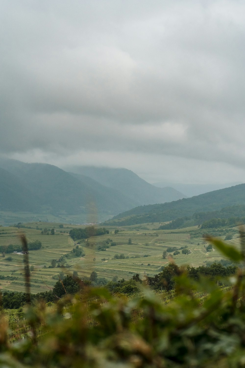 Grünes Grasfeld in Bergnähe tagsüber unter weißen Wolken