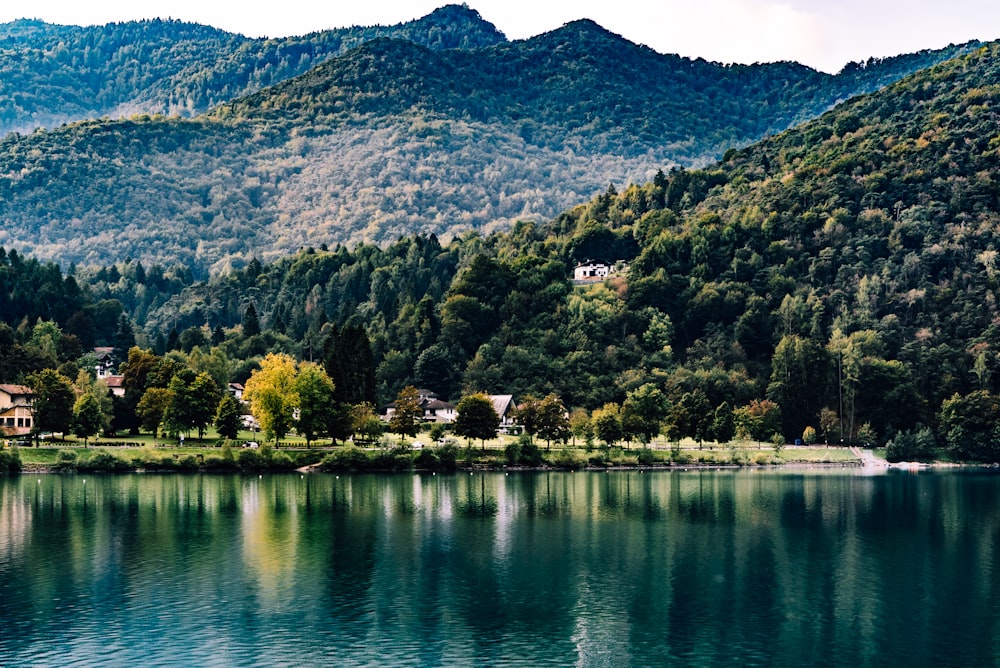 a body of water surrounded by mountains and trees