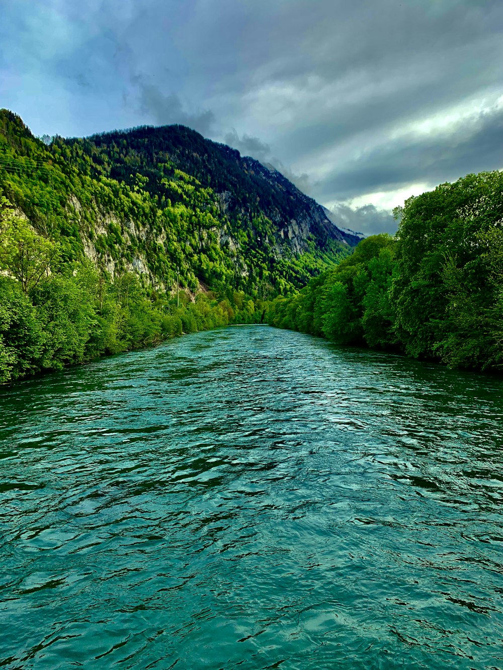 a body of water surrounded by lush green trees