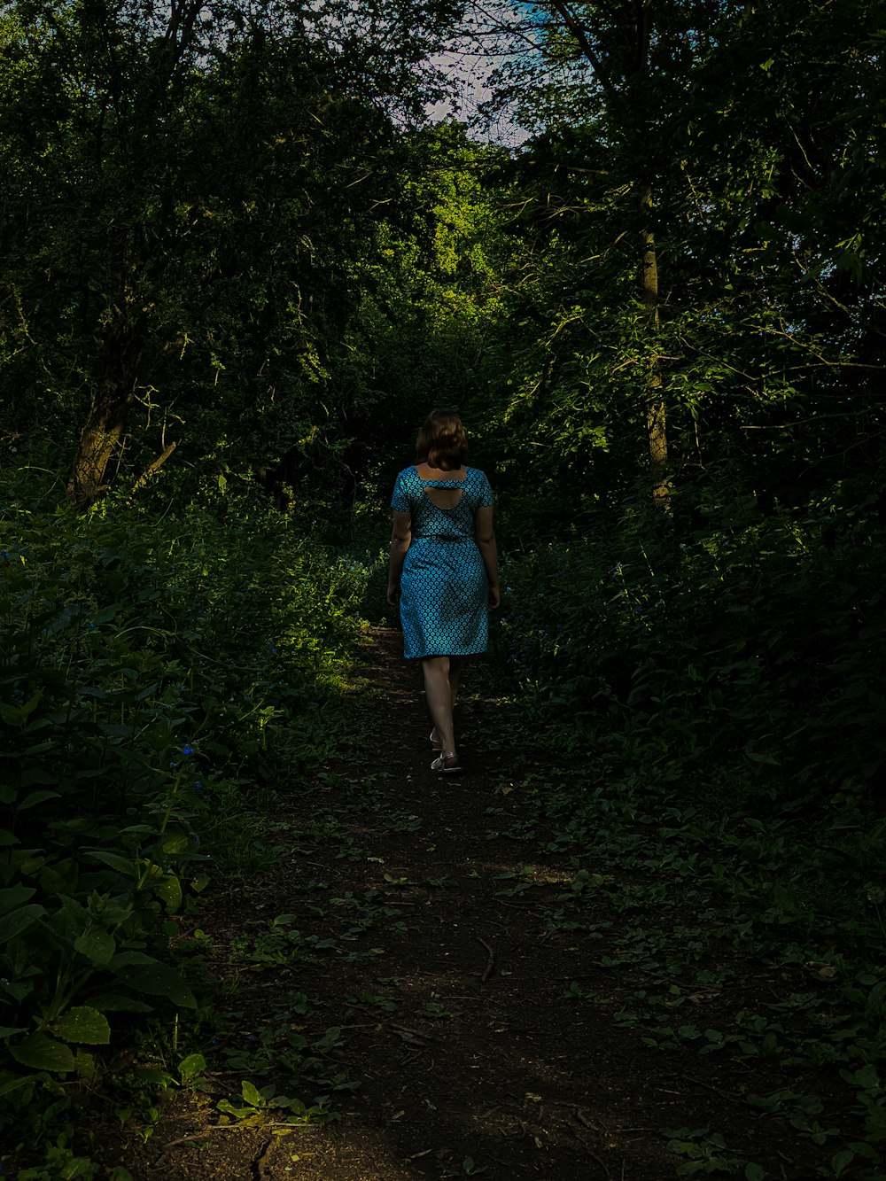 a woman in a blue dress walking through a forest