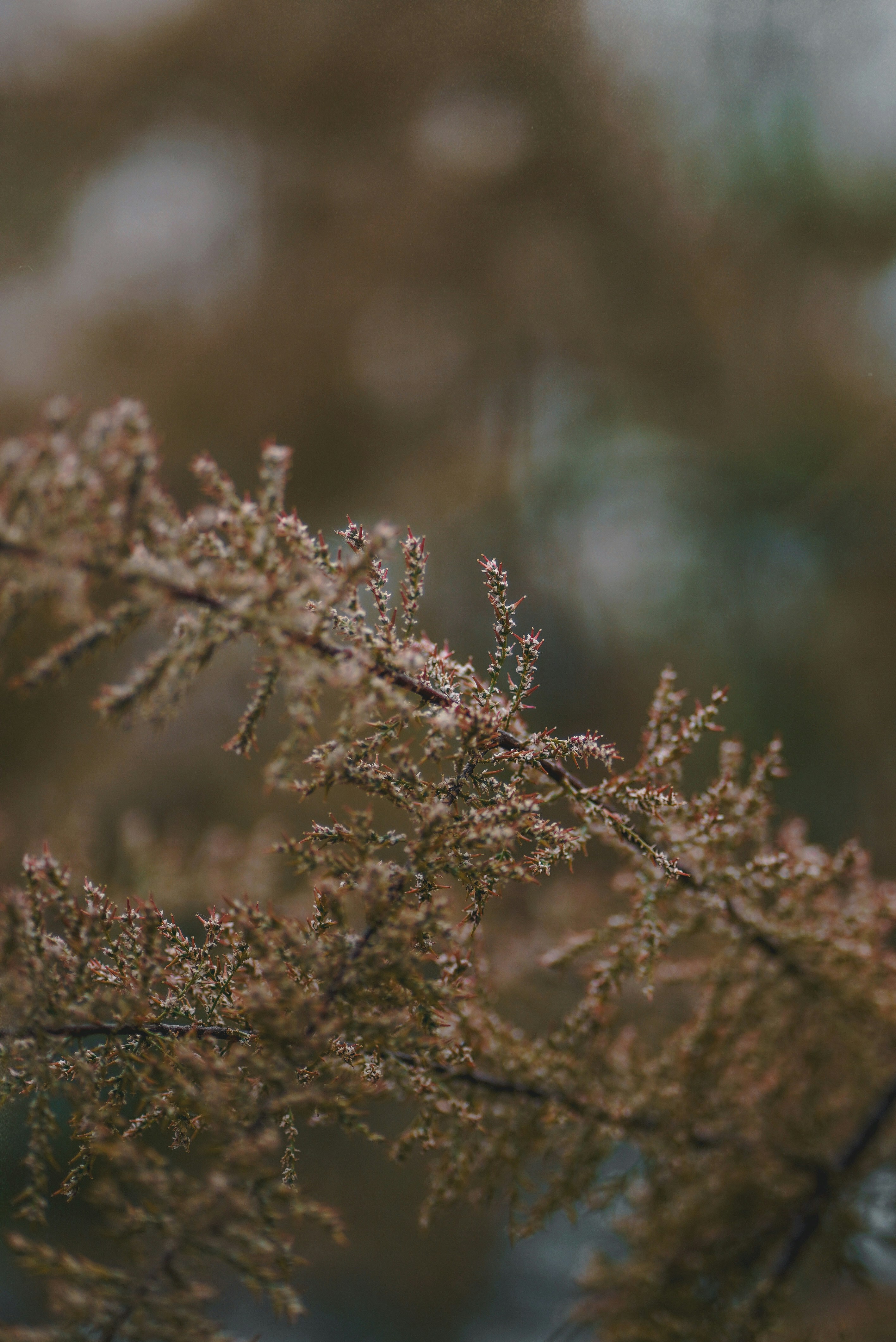 Photo by annabell_flem