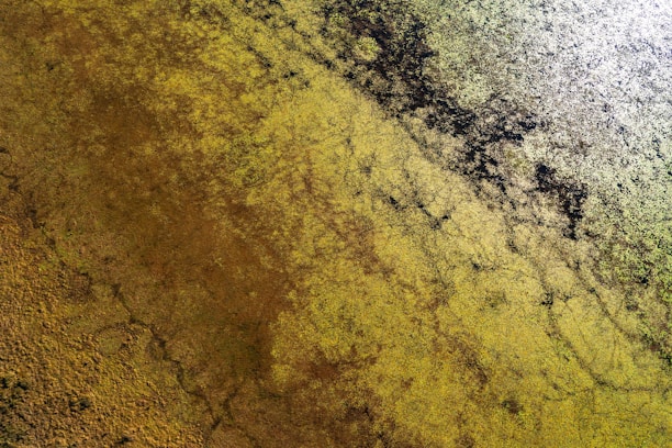 Aerial view of a diverse landscape showing potential buildable plots with subtle earth-tone styling.