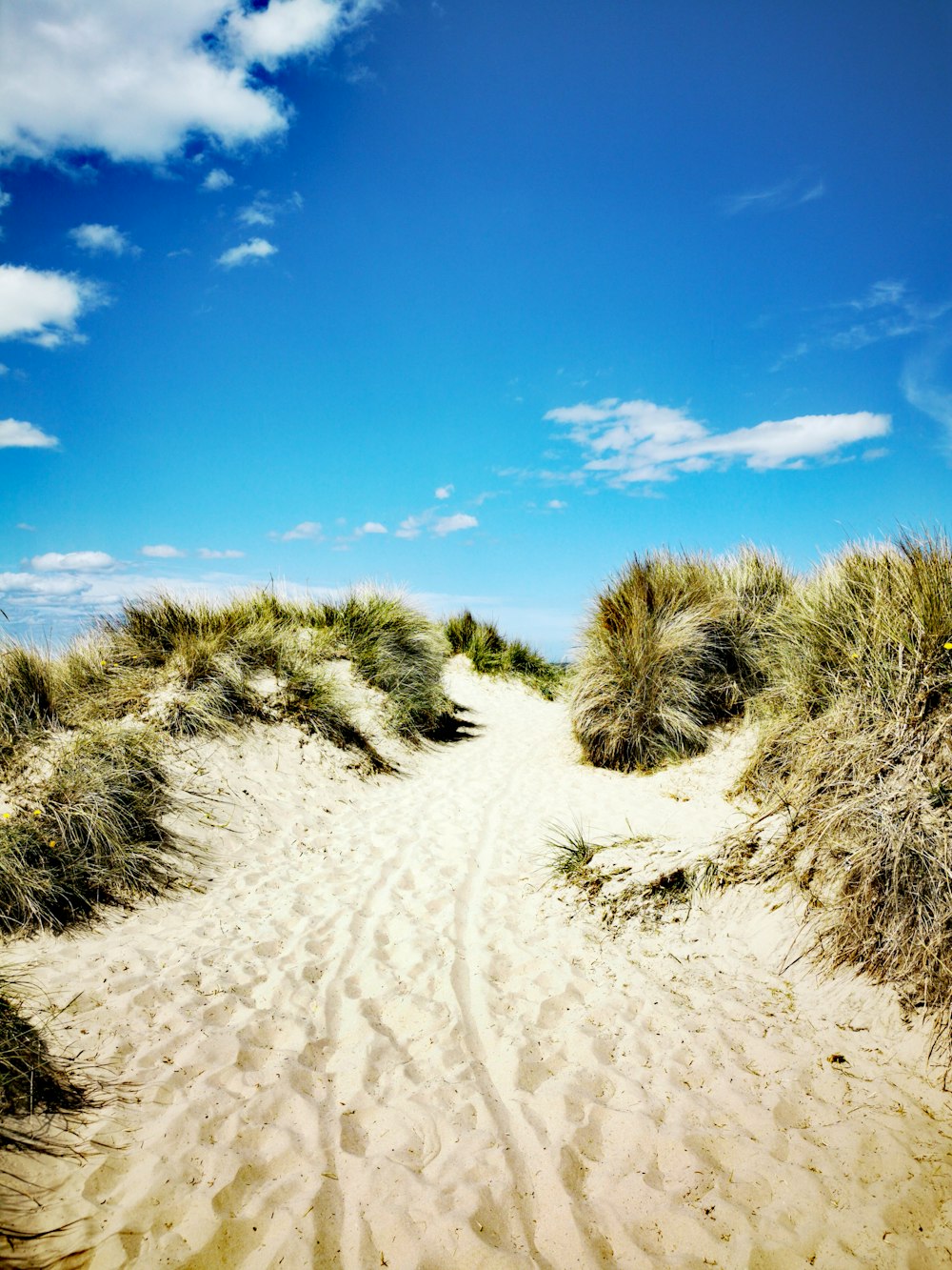 a sandy beach with grass and blue sky