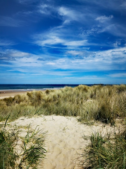 Marram-grass dunes above the beach at Embleton Bay