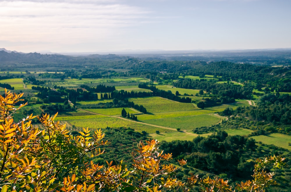 Blick auf ein üppiges grünes Tal, umgeben von Bäumen