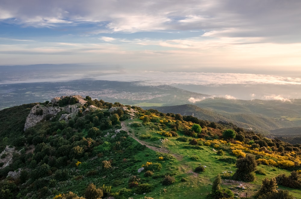 a view of a hill with trees and clouds in the background