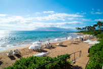 a beach filled with lots of white umbrellas next to the ocean