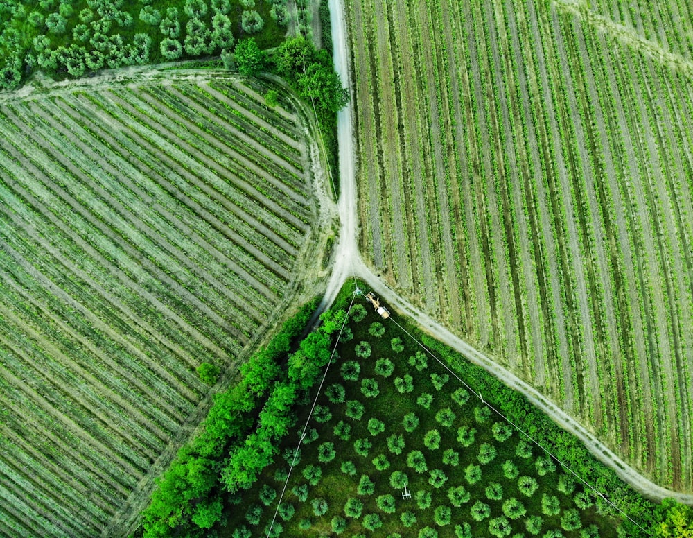 an aerial view of a field with trees