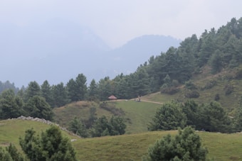 A mountainous landscape featuring rolling green hills and densely packed evergreen trees. A dirt path meanders through the scenery, leading to a small, red-roofed pavilion. Mist obscures the distant hills, adding a sense of mystery and tranquility to the scene.