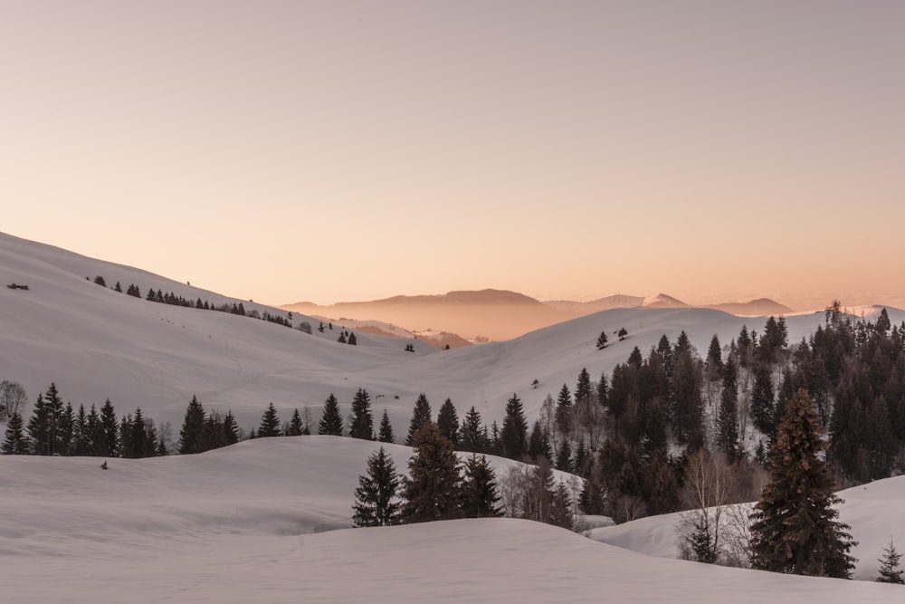 Un paisaje nevado con árboles y montañas al fondo