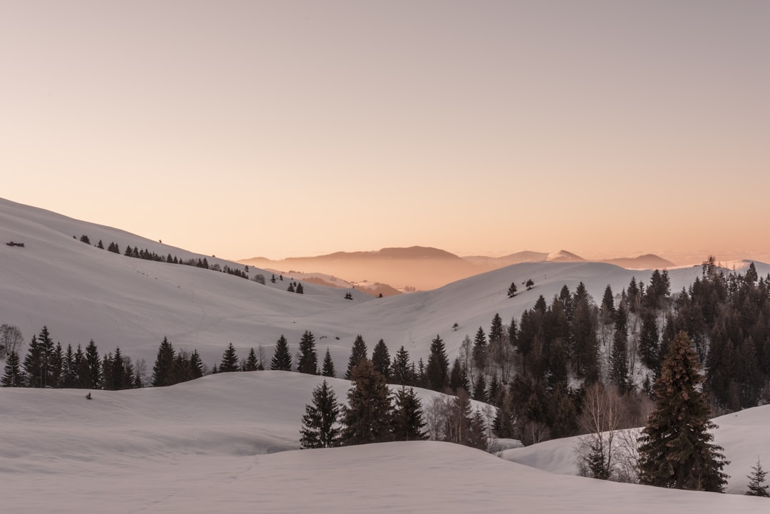a snowy landscape with trees and mountains in the background,