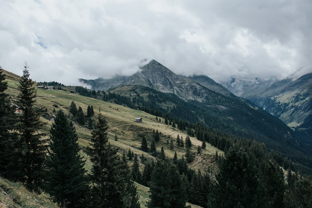 a view of a mountain range with a few trees in the foreground