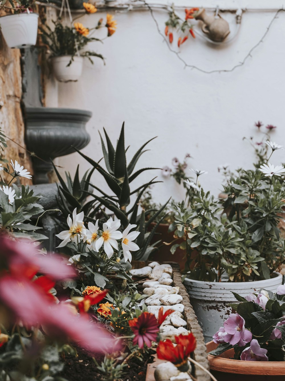 a group of potted plants sitting next to each other