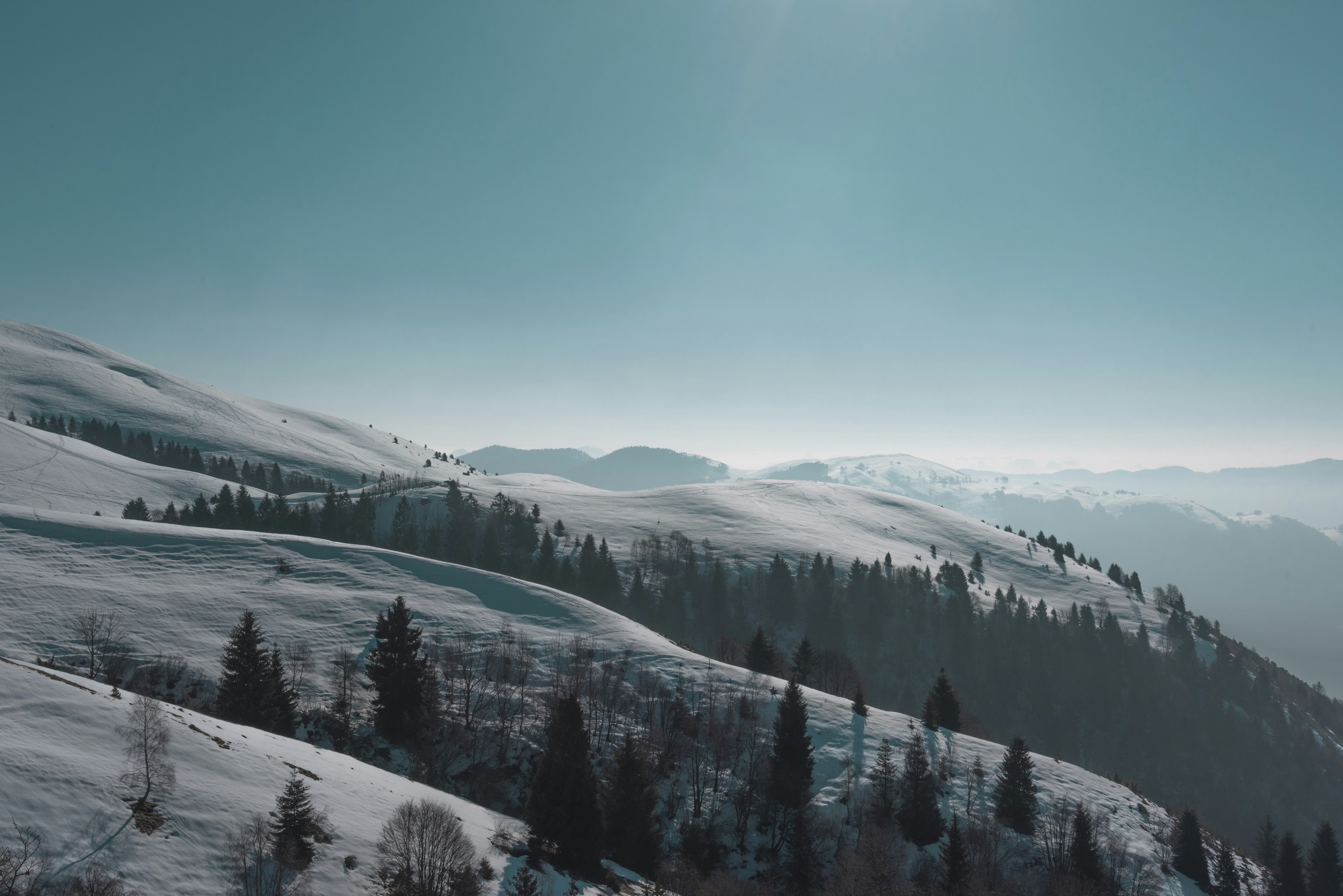 a mountain covered in snow and trees under a blue sky