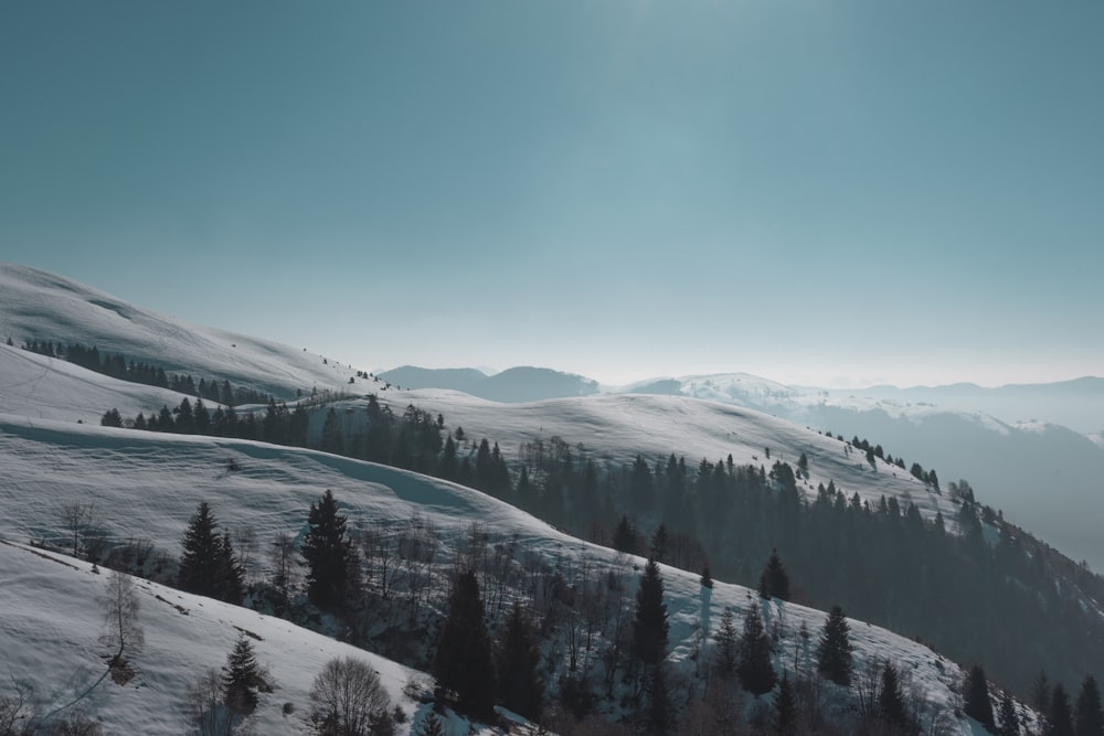 a mountain covered in snow and trees under a blue sky