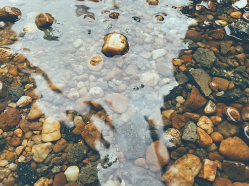 a stream of water with rocks and rocks in it