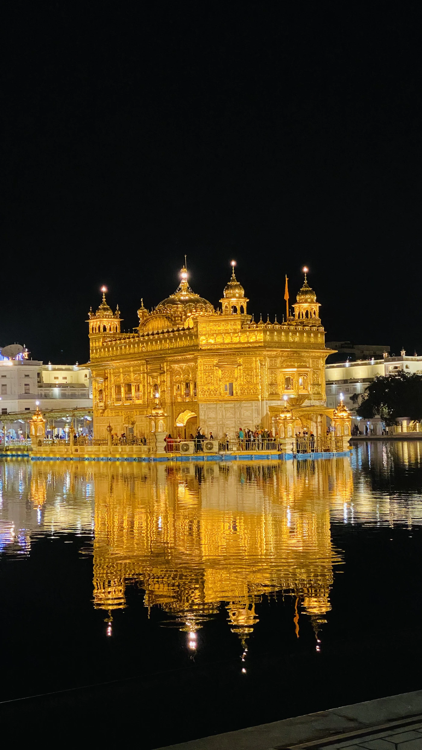 Gujarat Temple & Wildlife Trail Comfort