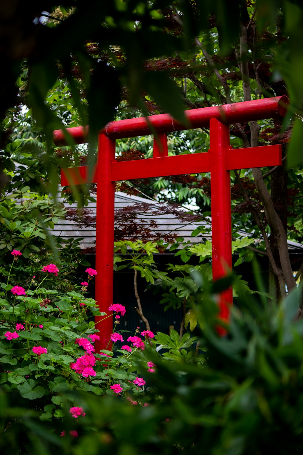 a red chair sitting in the middle of a garden